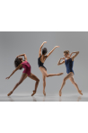 Justaucorps Ballet Rosa collection Versailles Adèle noir