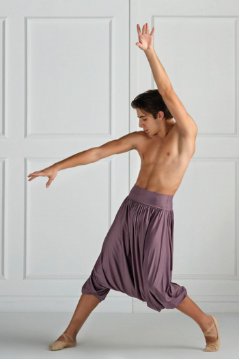 Harmony Aladdin Pants