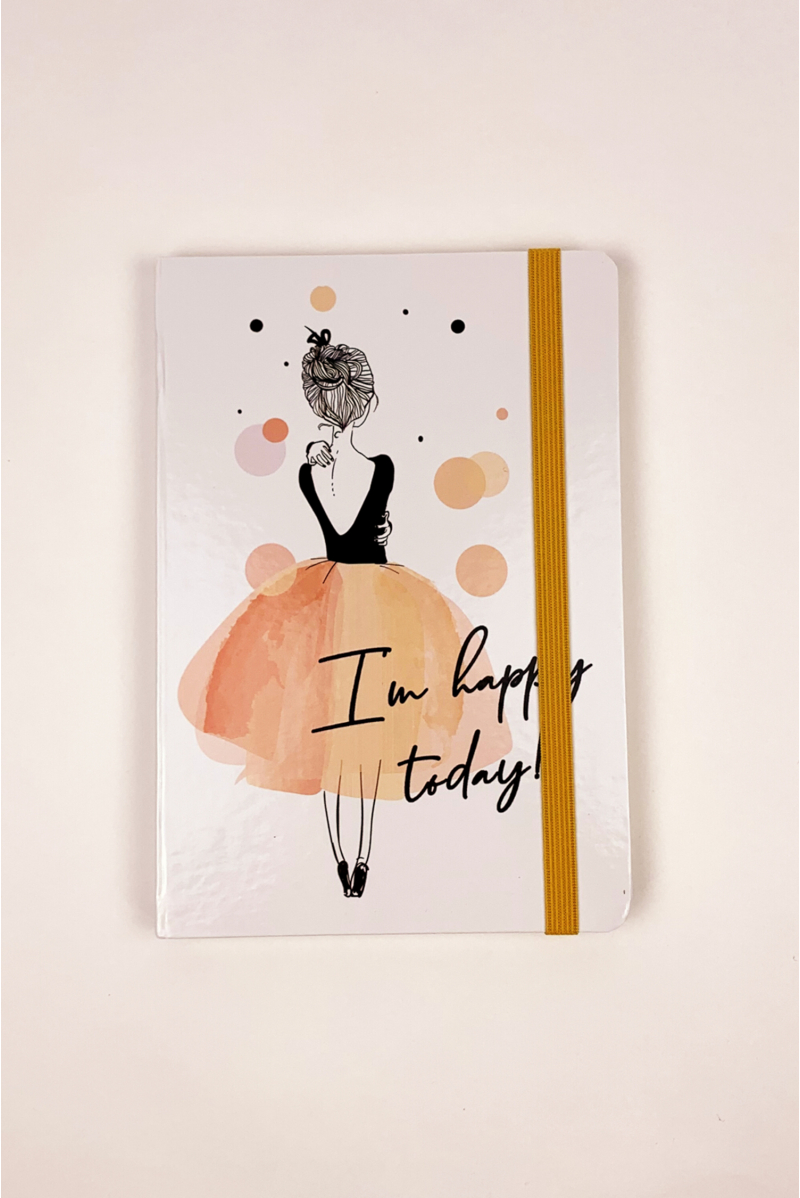 Lot de 3 note books Sheddo