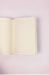 Lot de 3 note books Sheddo