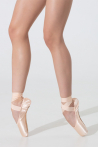 Grishko 2007 Proflex pointe shoes