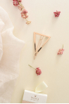 Metal Triangle Barrette Bachc