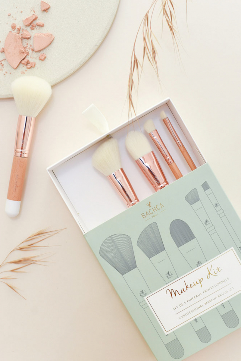 Kit professional brushes