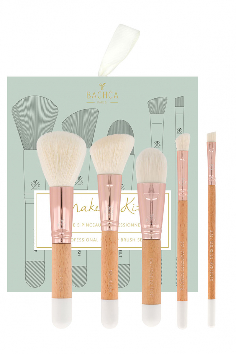 Kit professional brushes