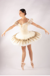 Pancake professional tutu Harmony beige velvet gold