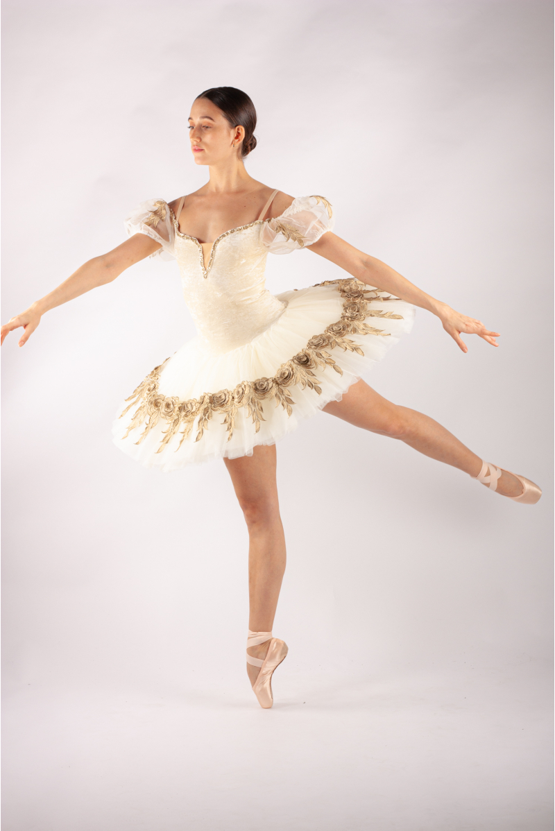 Pancake professional tutu Harmony beige velvet gold