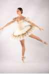 Pancake professional tutu Harmony beige velvet gold