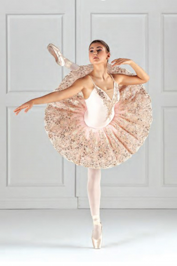 Belle Femme Danseuse De Ballet Dans Un Tutu Blanc Pratiquant Des Pas De Danse  Classique En Studio Avant La Représentation