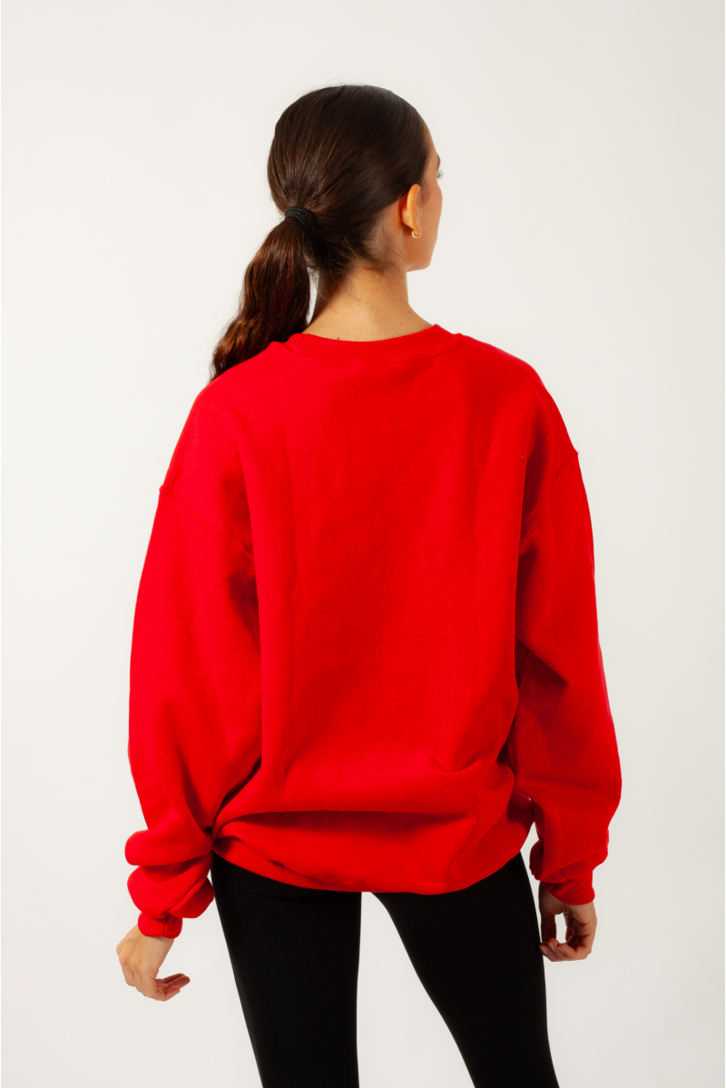 Christmas sweatshirt for children and adults