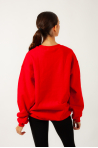 Christmas sweatshirt for children and adults