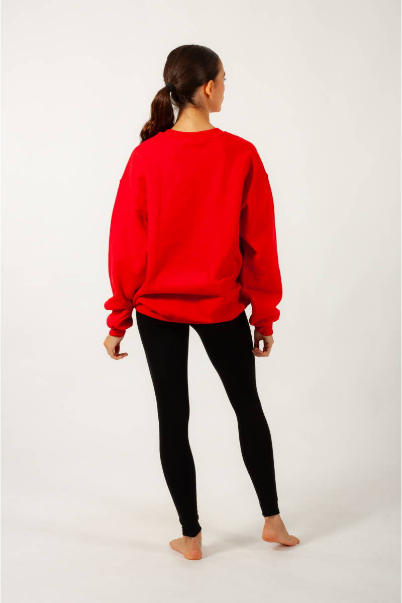 Christmas sweatshirt for children and adults