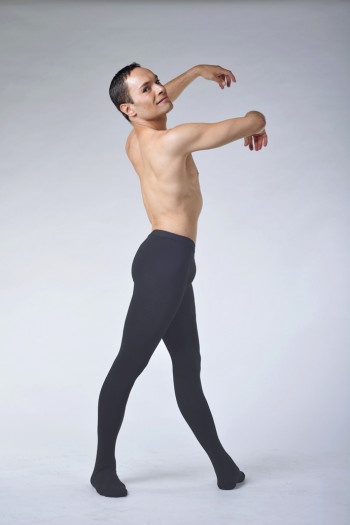 Ballet Rosa Vincent microfiber grey tights