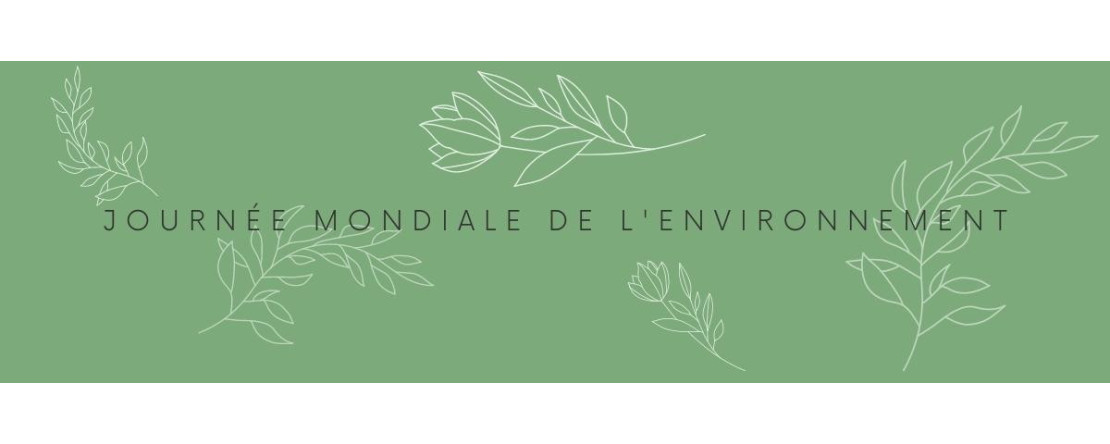 Journée mondiale de l'environnement !