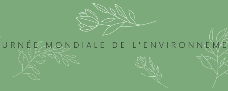 Journée mondiale de l'environnement !